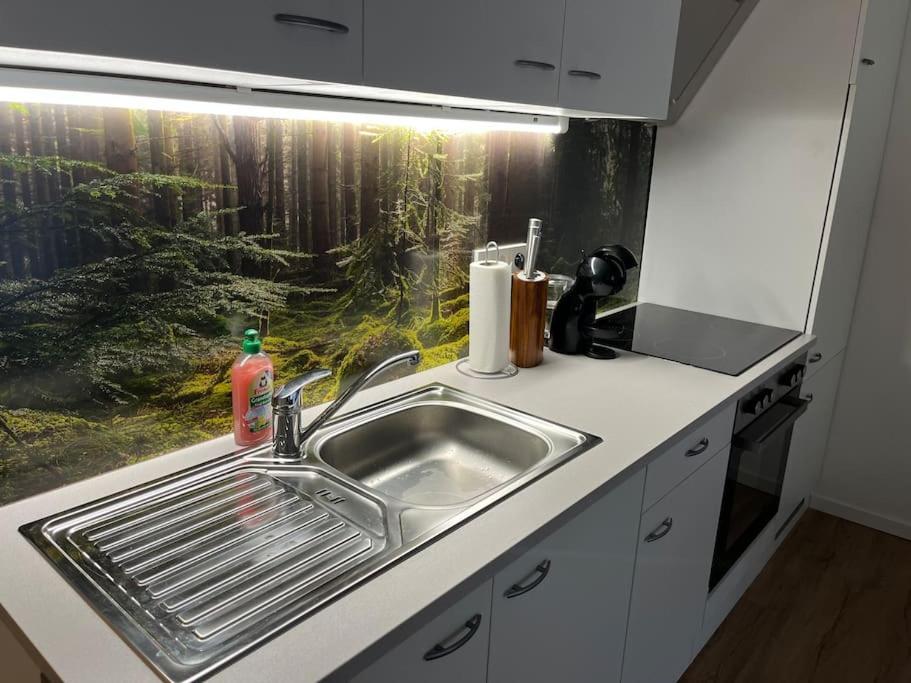 Gemuetliches 4Er Apartment In Skilift-Naehe Zell am See Exteriör bild